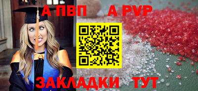 стаф Малгобек