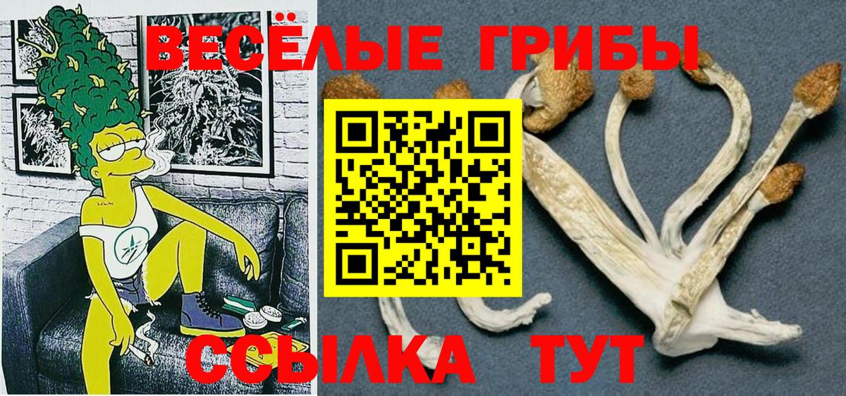 Псилоцибиновые грибы MAGIC MUSHROOMS  Вход с VPN  Ступино 